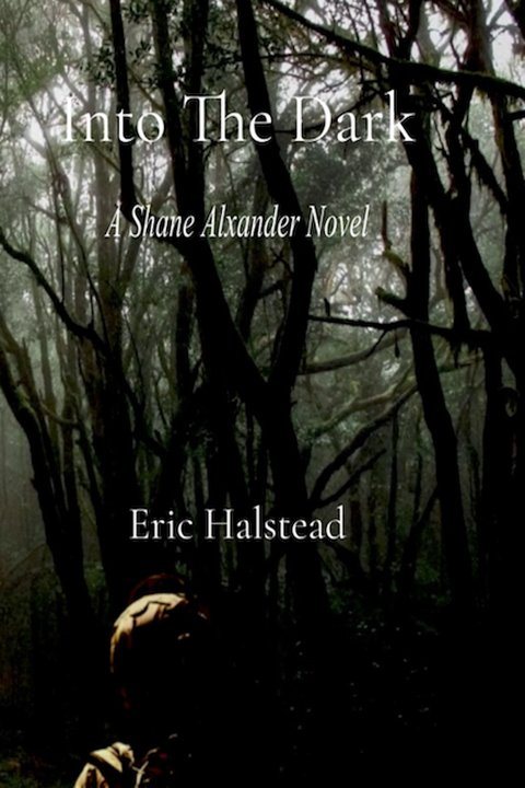 Into the Dark by Eric Halstead, book cover